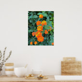 Lantana Poster ポスター (キッチン)
