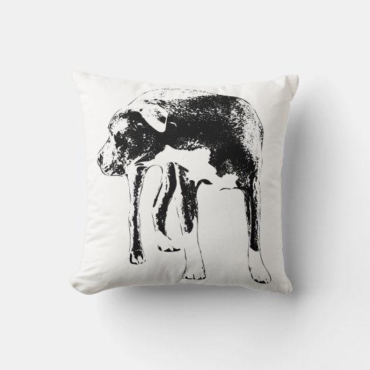 Lantern Path Sentinel クッション (正面)