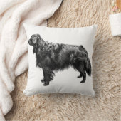 Lantern Porch Companion クッション (ブランケット)