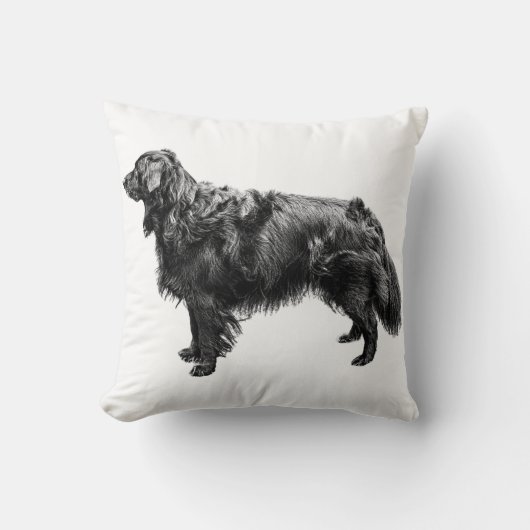 Lantern Porch Companion クッション (正面)