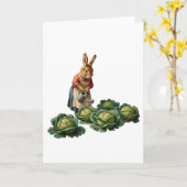 Lapine aux choux カード (黄色い花)