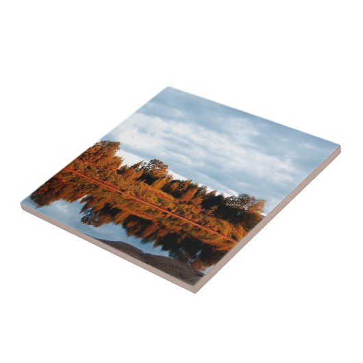 lapland-1391 タイル (側面)