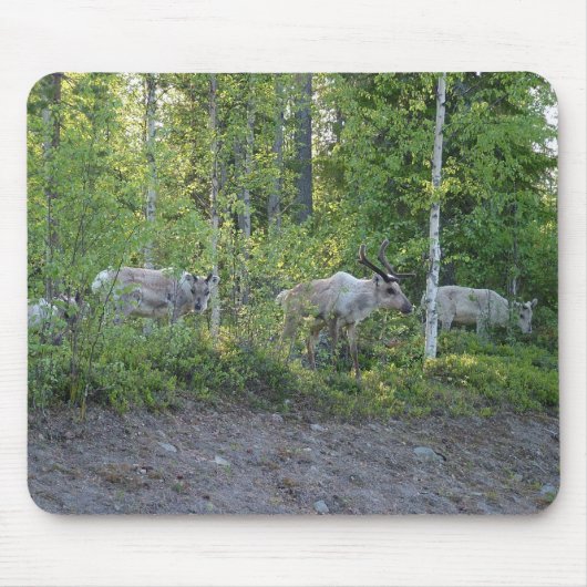 Lapland mousepadのトナカイ マウスパッド (正面)
