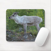 Lapland mousepadのトナカイ マウスパッド (マウス)