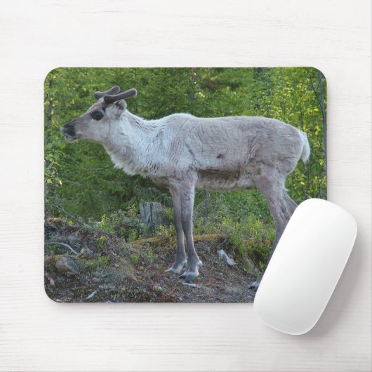 Lapland mousepadのトナカイ マウスパッド (マウス)