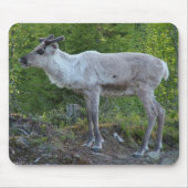Lapland mousepadのトナカイ マウスパッド (正面)
