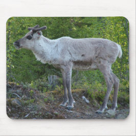 Lapland mousepadのトナカイ マウスパッド