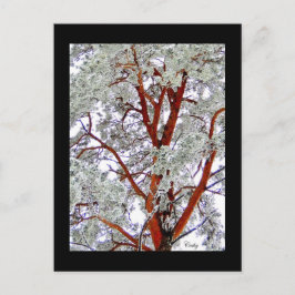 l'arbre enneigé ポストカード