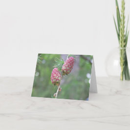 Larch (Larix)カード シーズンカード