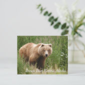 Large Brown Bear Katmai Alaska ポストカード (スタンド正面)