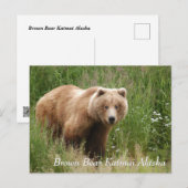 Large Brown Bear Katmai Alaska ポストカード (正面/裏面)