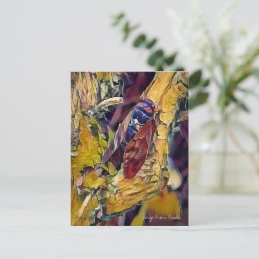 Large Brown Cicada ポストカード (スタンド正面)