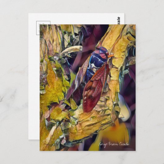 Large Brown Cicada ポストカード (正面/裏面)