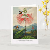 Large Flowering Sensitive Plant — Modern Botanical カード (黄色い花)