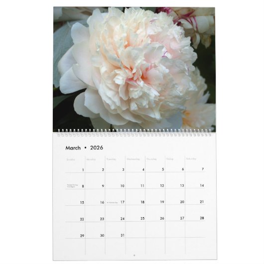 Large Flowers 2026 Calendar カレンダー (3月 2026)