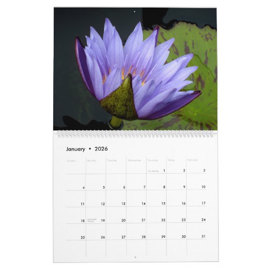 Large Flowers 2026 Calendar カレンダー (1月 2026)