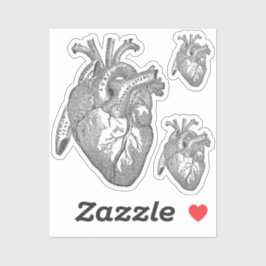 Large Labelled Vintage Anatomical Heart, Black  シール