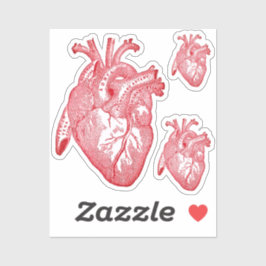 Large Labelled Vintage Anatomical Heart, Red シール