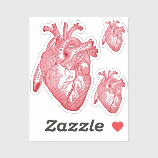 Large Labelled Vintage Anatomical Heart, Red シール (シート)