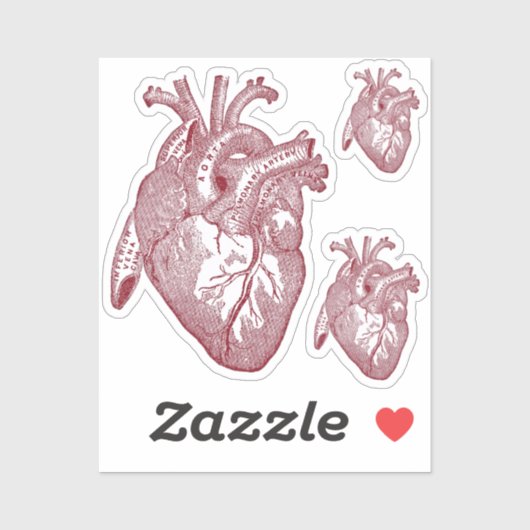 Large Labelled Vintage Anatomical Heart, Red シール (シート)