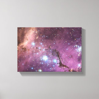 Large Magellanic Cloud キャンバスプリント