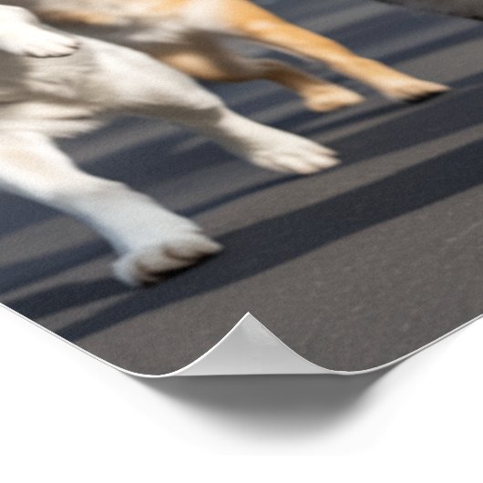 Large No Kings Day Pet Poster  ポスター (角)