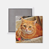 Large Personalized Pet Photo マグネット (正面/裏面)
