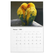 Large Size Beautiful Birds Calendar カレンダー (2月 2026)