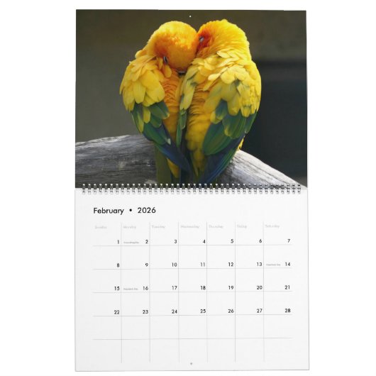 Large Size Beautiful Birds Calendar カレンダー (2月 2026)