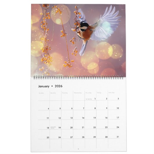 Large Size Beautiful Birds Calendar カレンダー (1月 2026)