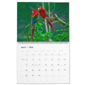 Large Size Beautiful Birds Calendar カレンダー (3月 2026)