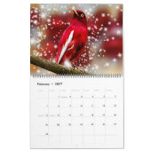Large Size Beautiful Birds Calendar カレンダー (2月 2027)