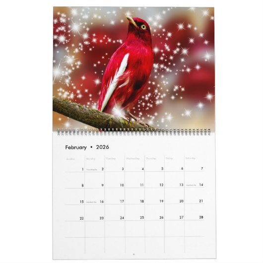 Large Size Beautiful Birds Calendar カレンダー (2月 2026)