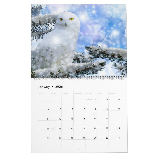 Large Size Beautiful Birds Calendar カレンダー (1月 2026)