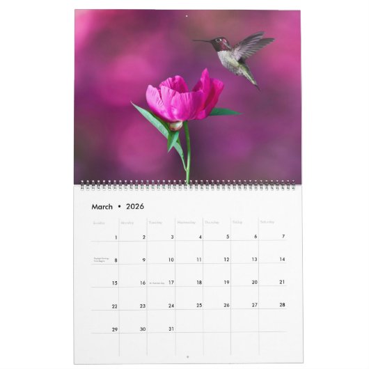 Large Size Beautiful Birds Calendar カレンダー (3月 2026)