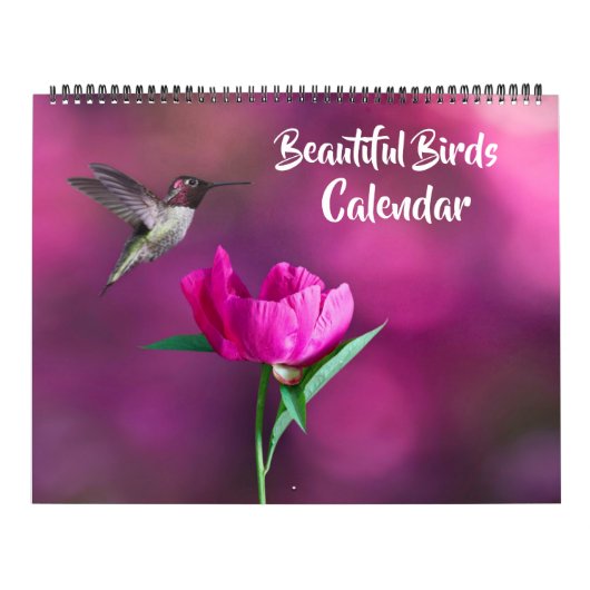 Large Size Beautiful Birds Calendar カレンダー (カバー)