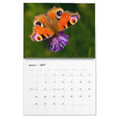 Large Size Beautiful Butterflies Calendar カレンダー (3月 2027)