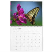Large Size Beautiful Butterflies Calendar カレンダー (1月 2027)