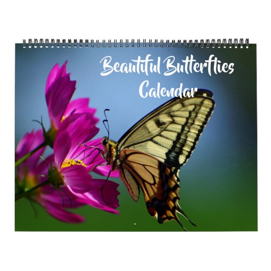 Large Size Beautiful Butterflies Calendar カレンダー (カバー)