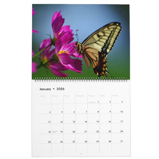 Large Size Beautiful Butterflies Calendar カレンダー (1月 2026)
