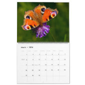 Large Size Beautiful Butterflies Calendar カレンダー (3月 2026)