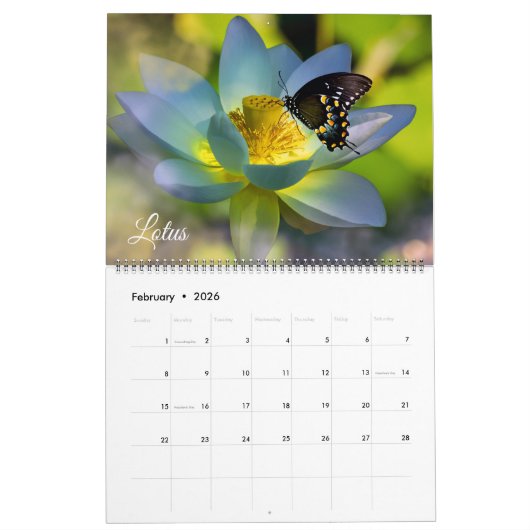 Large Size Beautiful Flowers Calendar カレンダー (2月 2026)