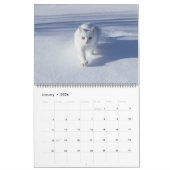 Large Size Cat Lovers Calendar カレンダー (1月 2026)