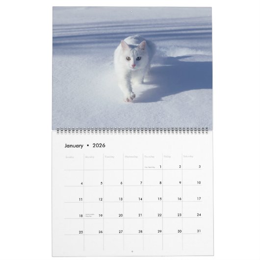 Large Size Cat Lovers Calendar カレンダー (1月 2026)