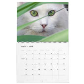 Large Size Cat Lovers Calendar カレンダー (3月 2026)