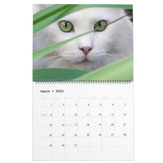 Large Size Cat Lovers Calendar カレンダー (3月 2026)