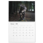 Large Size Dog Lovers Calendar カレンダー (2月 2026)