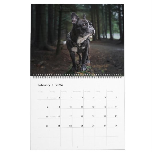 Large Size Dog Lovers Calendar カレンダー (2月 2026)