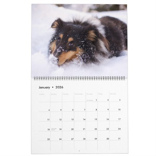 Large Size Dog Lovers Calendar カレンダー (1月 2026)