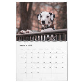 Large Size Dog Lovers Calendar カレンダー (3月 2026)